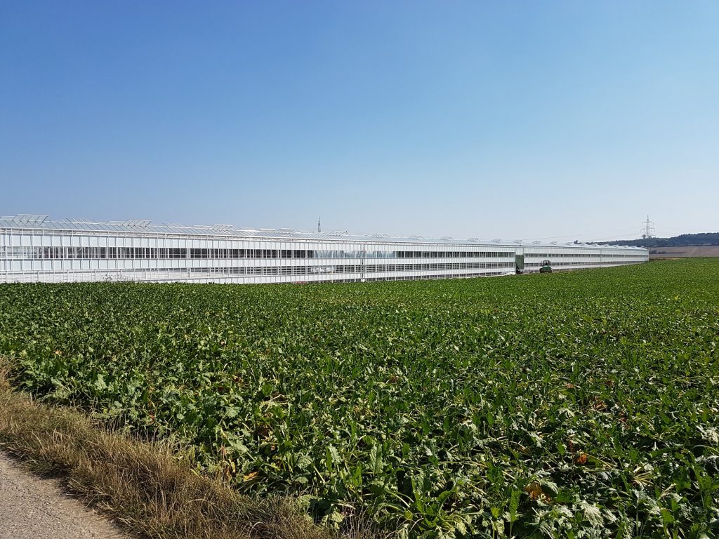 Verticale Scherming Tuinbouw
