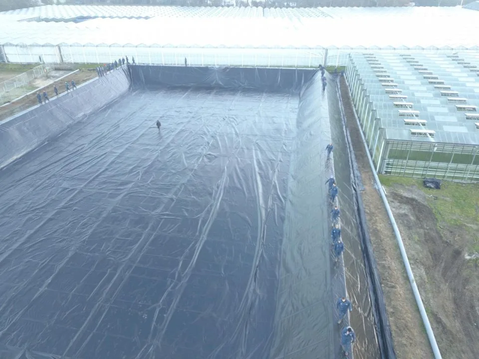 Waterbassin tuinbouw