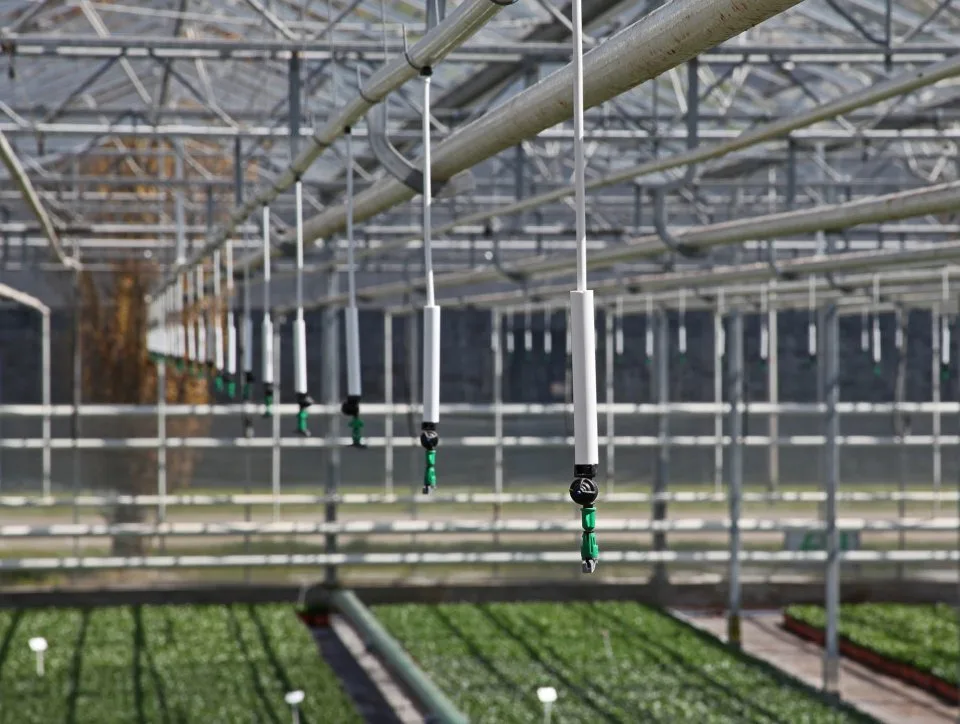 Boven beregening tuinbouw