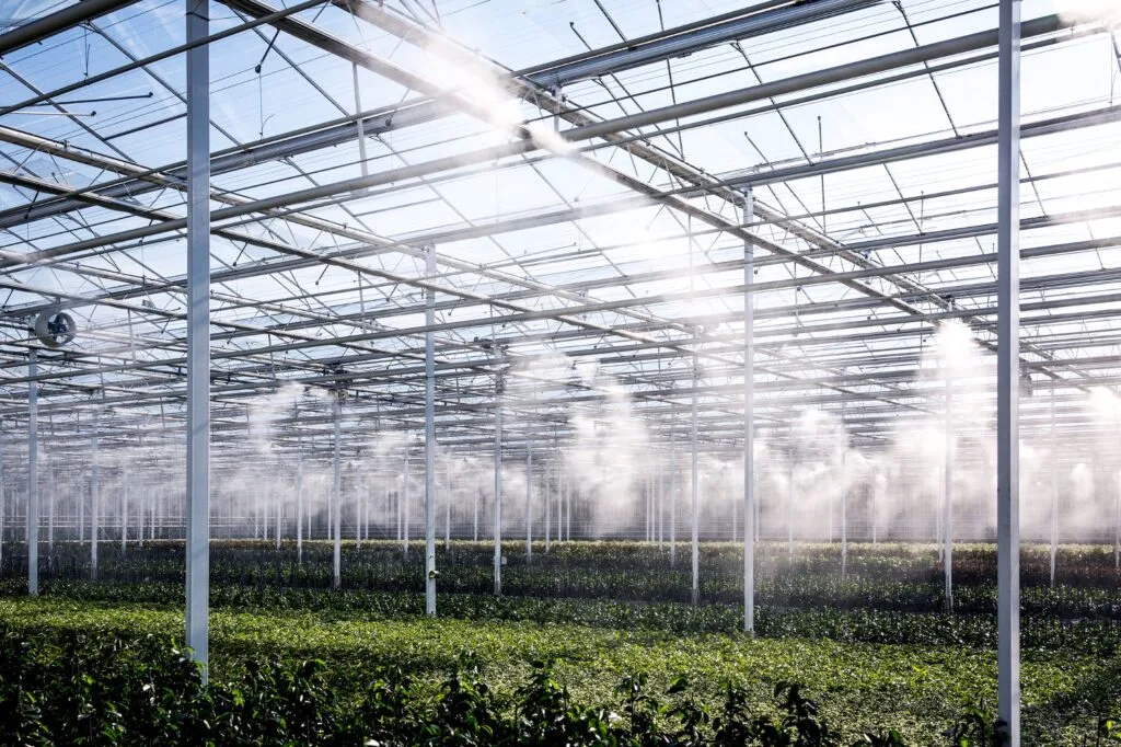 Nevelinstallatie tuinbouw banner